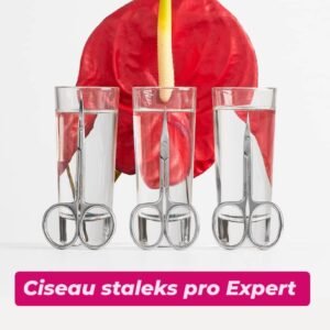 🎀 Ciseau STALEKS PRO Expert 🎀