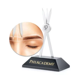 BB compass phibrows